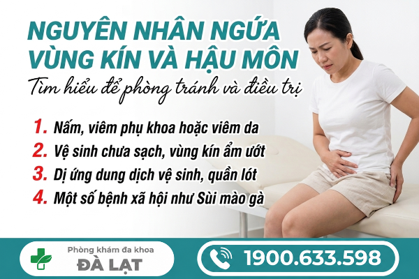 Hình ảnh minh họa